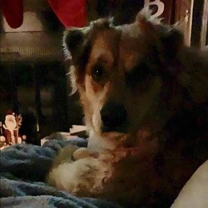 Meet your Posher, Austin